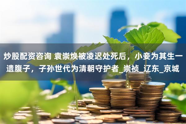 炒股配资咨询 袁崇焕被凌迟处死后，小妾为其生一遗腹子，子孙世代为清朝守护者_崇祯_辽东_京城