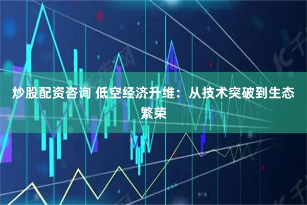 炒股配资咨询 低空经济升维：从技术突破到生态繁荣